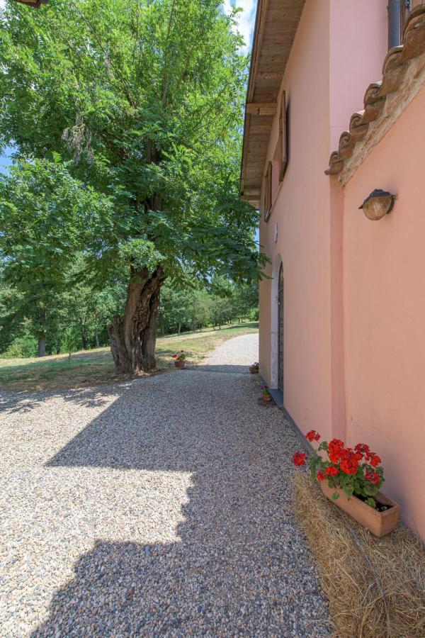 Tenuta Cascina Marenco ガーヴィ エクステリア 写真
